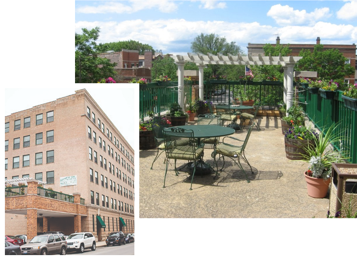 vistas lincolnpark collage